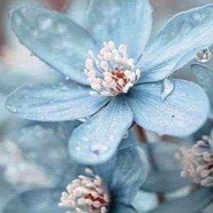 Meet your Posher, Lab clothing